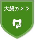 大腸カメラ